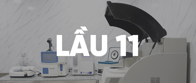 lau 11