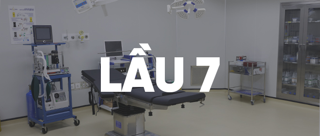 lau 7