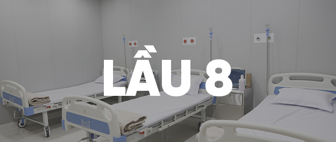 lau 8