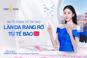 09.04 SEO ADAPT KV JABAN 900X600