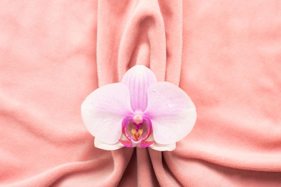 Thẩm mỹ vùng kín là gì? Lưu ý và Bảng giá chi tiết 10 bang gia tham my vung kin