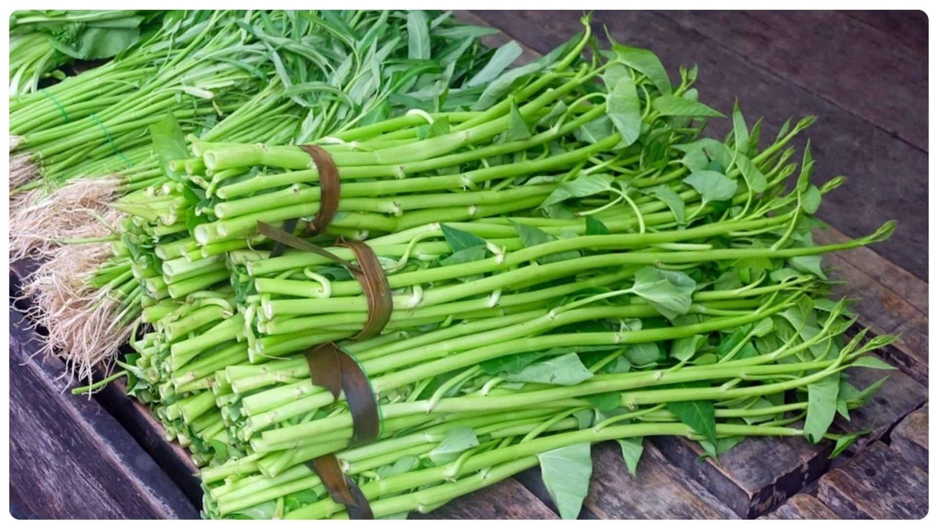 Cắt Mí Mắt Kiêng Ăn Gì? Những lưu ý sau khi phẫu thuật 12 cắt mí mắt nên kiêng gì