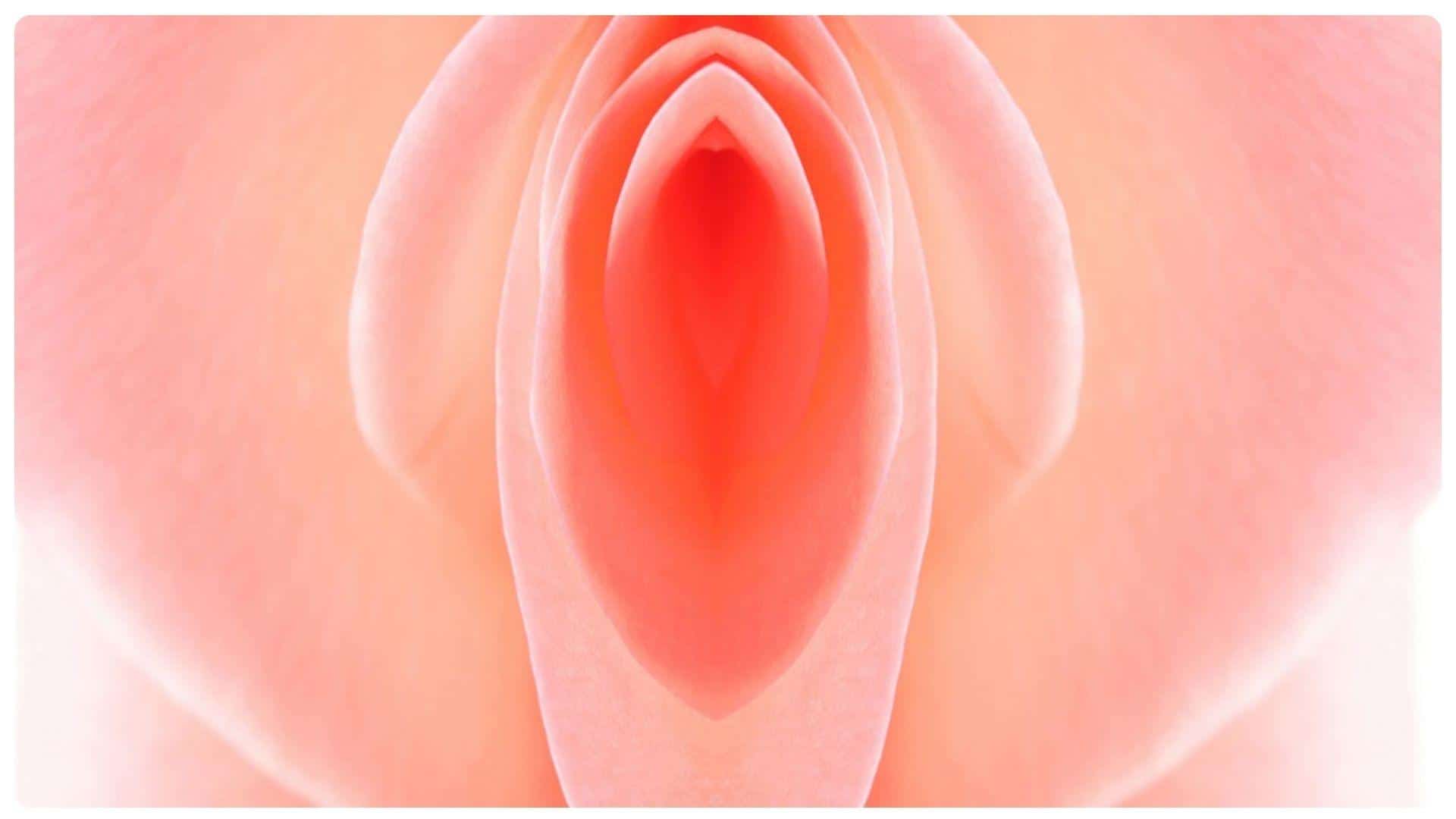 Cắt môi bé bao lâu thì lành? Quy trình hồi phục và chăm sóc 16 Chủ động chăm sóc giúp kết quả thẩm mỹ tối ưu hơn