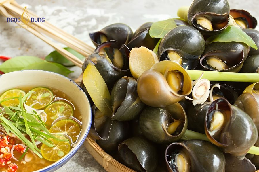 Tính hàn và đạm lạ trong ốc có thể kích phát phản ứng dị ứng tại vết thương hở