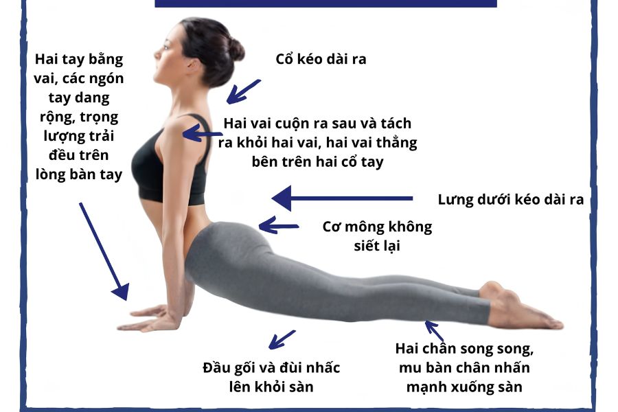Top 15 bài tập nâng ngực, tăng vòng 1 săn chắc tại nhà 15 Tư thế yoga chó ngẩng mặt kéo giãn lồng ngực và dẻo dai cột sống