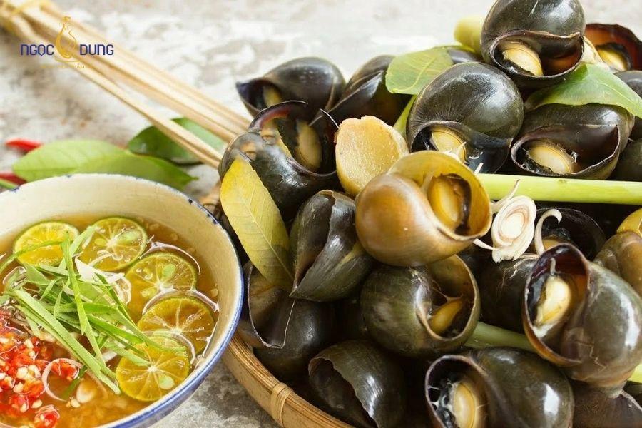 Nâng ngực có được ăn ốc không? Giải đáp từ Ngọc Dung 11 Ốc sống trong môi trường bùn lầy chứa vi khuẩn tiềm ẩn nguy cơ nhiễm trùng vết thương hở