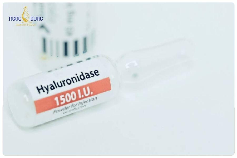 Tiêm tan filler giá bao nhiêu? Bảng giá cập nhật mới 13 Loại enzyme sử dụng là yếu tố ảnh hưởng trực tiếp đến hiệu quả và chi phí tiêm tan filler